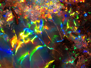 629081856  Australia