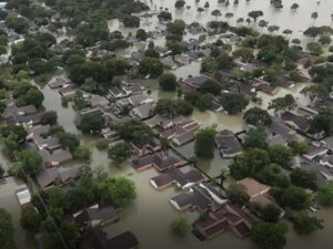 639298141  Lafayette, LA